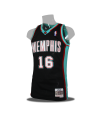 Swingman Pau Gasol