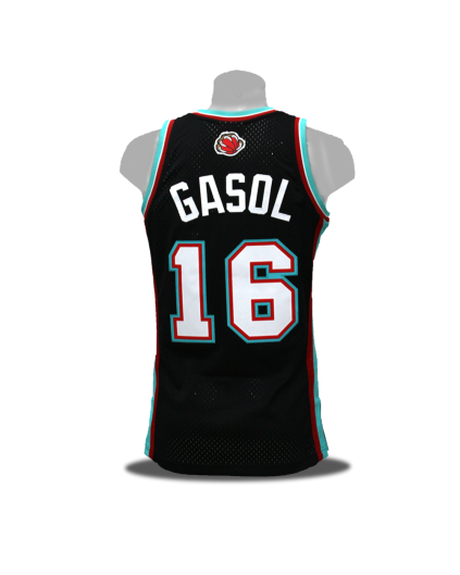 Swingman Pau Gasol