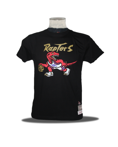 Camiseta Dribble Toronto Raptors