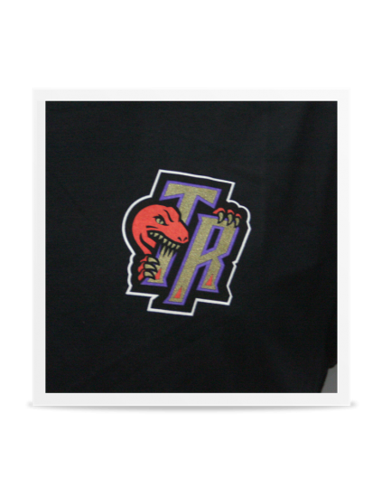 Camiseta North Toronto Raptors