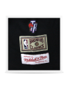 Camiseta North Toronto Raptors