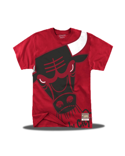 Camiseta Big Face Chicago Bulls