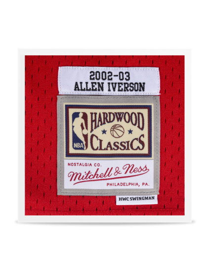 Swingman Allen Iverson 2002/03