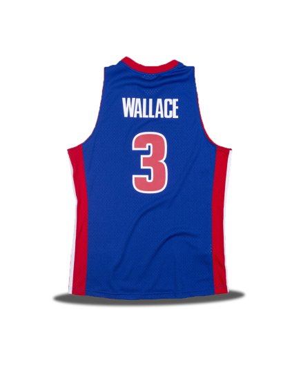 Swingman Ben Wallace 2003/04