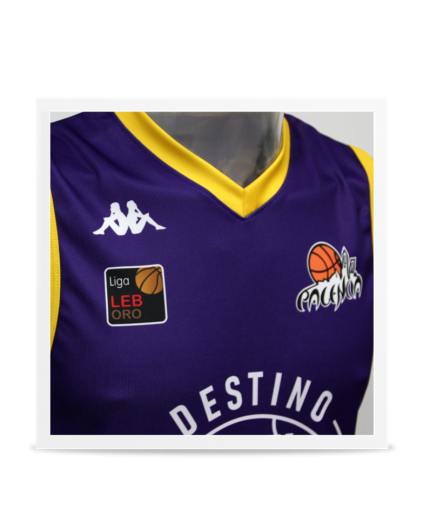Camiseta Leb Oro Palencia Basket