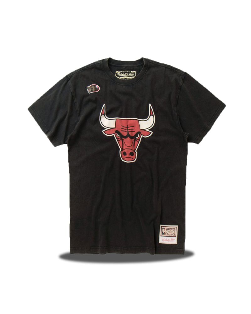 Camiseta Worn Logo Chicago Bulls