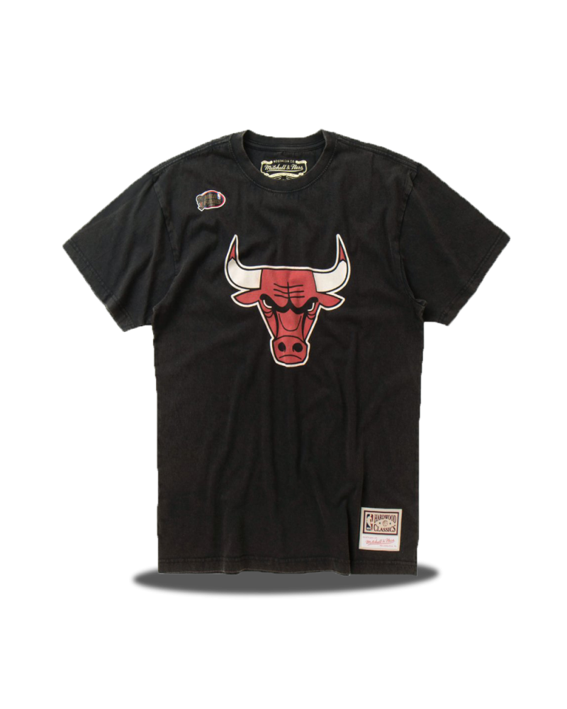 Chicago Bulls Worn Logo Tee