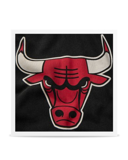 Chicago Bulls Worn Logo Hoodie