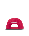 Gorra M&N Team Stripe Houston Rockets