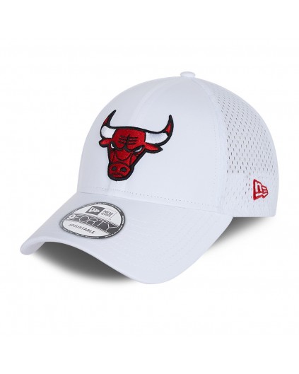 NBA 9Forty Chicago Bulls Team Arch
