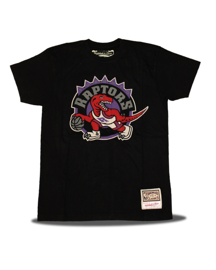 Camiseta Worn Logo Toronto Raptors
