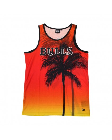 Camisetas Chicago Bulls