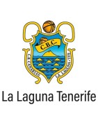 Camisetas oficiales Austral del CB Canarias